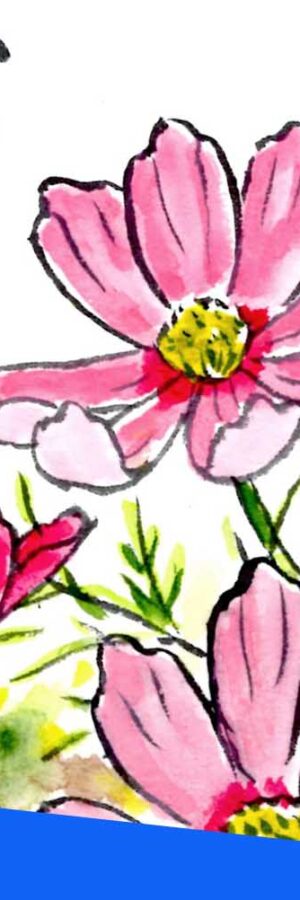 ハイビスカスの描き方 花の描き方 夏の絵手紙 絵手紙教室くぼ田