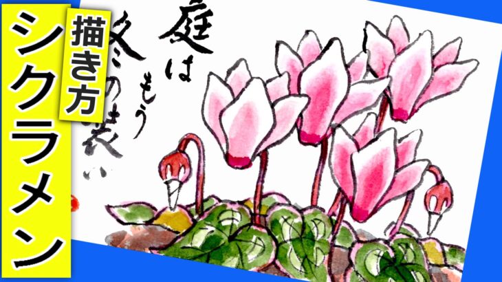 シクラメンの花の描き方　無料動画│ガーデニングの絵手紙スケッチ│秋・冬・春・10月・11月・12月・1月・2月・3月