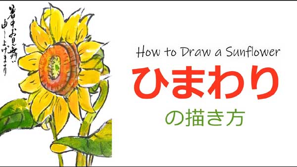 向日葵の描き方 無料動画 暑中見舞い 残暑見舞い 夏の絵手紙 花の描き方 絵手紙教室くぼ田