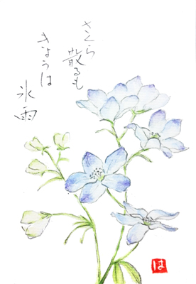 絵手紙 冬紫陽花 つくし 山つつじ 桜羊羹 竹の子 なばな デルフィニウム 絵手紙教室くぼ田