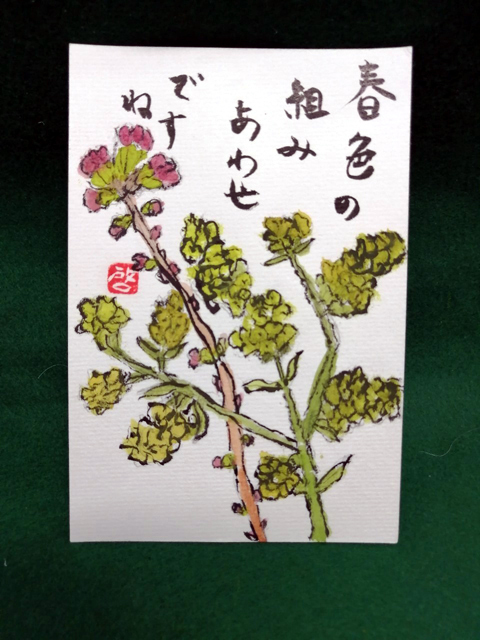絵手紙 鯉のぼり フクロウ 桜 スターチス 絵手紙教室くぼ田