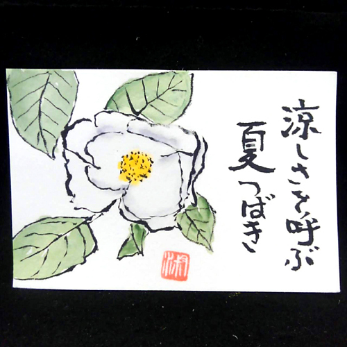 夏椿 沙羅の樹の絵手紙 絵手紙教室くぼ田
