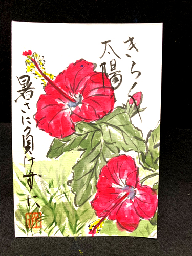 【絵手紙】ハイビスカス、睡蓮、バラ、白山吹、ブルーセージの絵手紙【夏の花】
