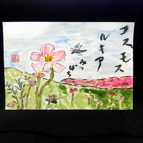 秋桜の絵手紙