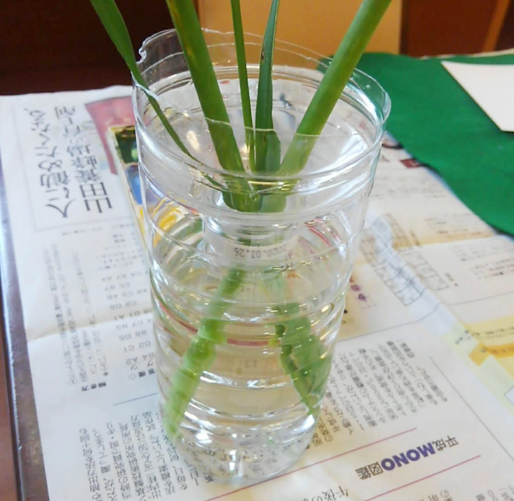便利な花瓶。