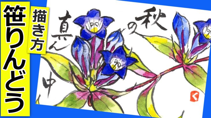 笹リンドウの花の描き方　無料動画│ガーデニングの絵手紙スケッチ│10月・秋の花【笹竜胆】
