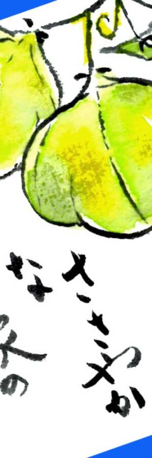 ハイビスカスの描き方 花の描き方 夏の絵手紙 絵手紙教室くぼ田 ハイビスカスの描き方 花の描き方 夏の絵手紙 絵手紙教室くぼ田