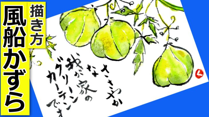風船かずらの描き方 無料動画│ガーデニングの絵手紙スケッチ│7月・8月・9月・10月・夏・秋