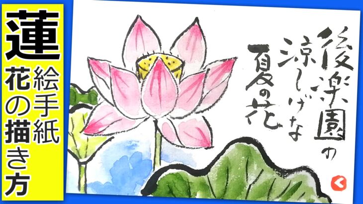ハスの花の簡単な描き方 無料動画 7月 8月 9月 夏の絵手紙 花の描き方 絵手紙教室くぼ田