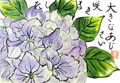 まとめ│紫陽花の絵手紙画像 140作品！ アジサイの描き方 5月6月7月【梅雨の定番】