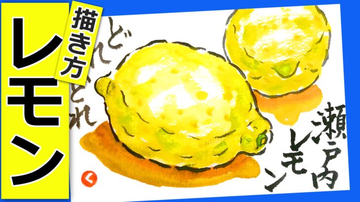 レモンの簡単な描き方　無料動画│秋・冬・春の果物や野菜の描き方│絵手紙イラストスケッチ│10月・11月・12月・1月・2月・3月│初心者