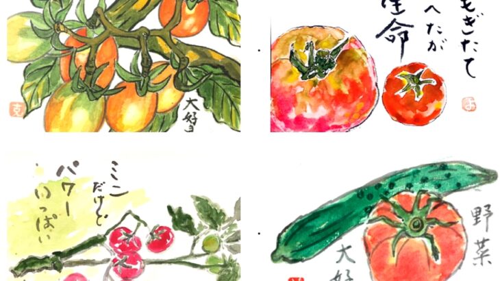 まとめ│トマトの絵手紙画像22点 作品🍅│夏野菜