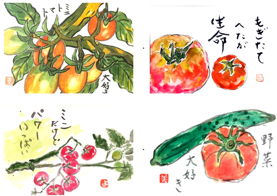 まとめ トマトの絵手紙画像22点 作品 夏野菜 絵手紙教室くぼ田