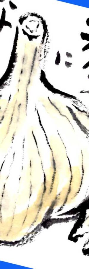 ハイビスカスの描き方 花の描き方 夏の絵手紙 絵手紙教室くぼ田