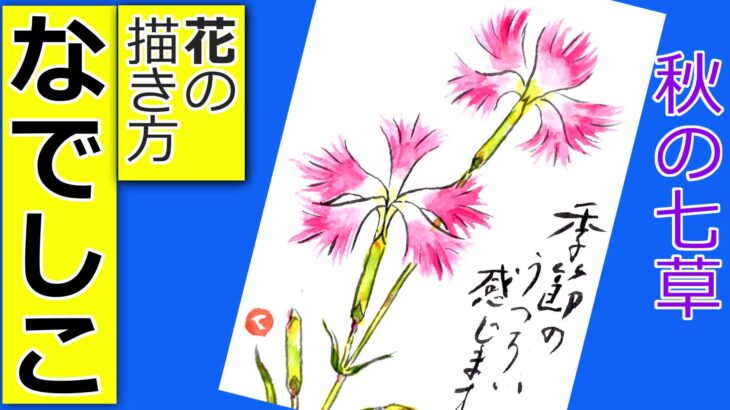 なでしこの花の描き方　無料動画│5月・6月・7月・8月・夏・秋の絵手紙【秋の七草】