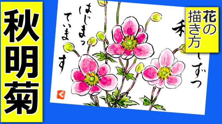 秋明菊の描き方│ガーデニングの絵手紙スケッチ│初心者│9月・10月・11月・秋の花