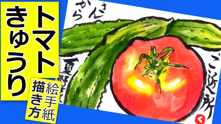 トマトとキュウリの簡単な描き方３🍅無料動画│夏野菜│7月・8月・夏の絵手紙イラスト【初心者】