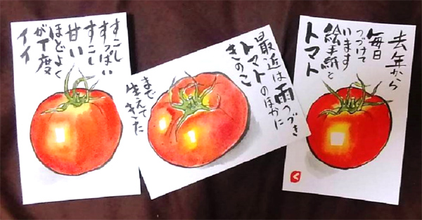 まとめ トマトの絵手紙画像22点 作品 夏野菜 絵手紙教室くぼ田