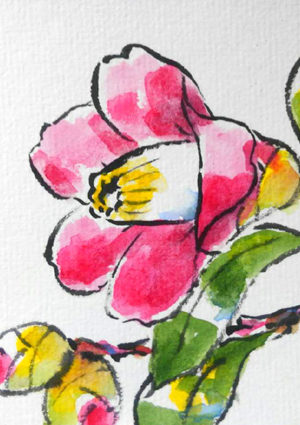 ハイビスカスの描き方 花の描き方 夏の絵手紙 絵手紙教室くぼ田
