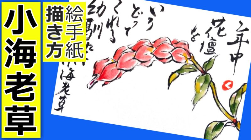 コエビソウの描き方 無料動画 ベロペロネ 絵手紙イラスト 絵手紙教室くぼ田