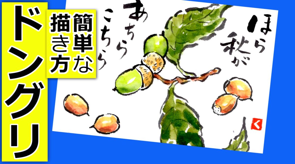 ドングリの簡単な描き方 無料動画 9月 10月 11月 秋の絵手紙イラスト 初心者 絵手紙教室くぼ田