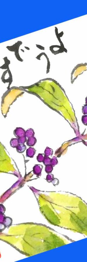 ハイビスカスの描き方 花の描き方 夏の絵手紙 絵手紙教室くぼ田