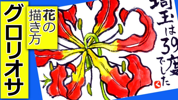 グロリオサの花の簡単な描き方　無料動画│ガーデニングの絵手紙イラスト│7月・8月・9月・夏・初秋【初心者】
