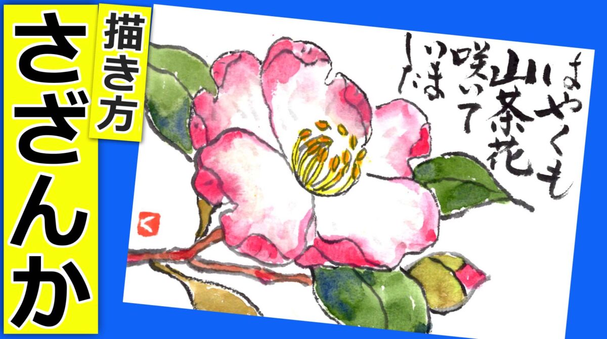 山茶花の花の描き方🌸無料動画│ガーデニングの絵手紙スケッチ