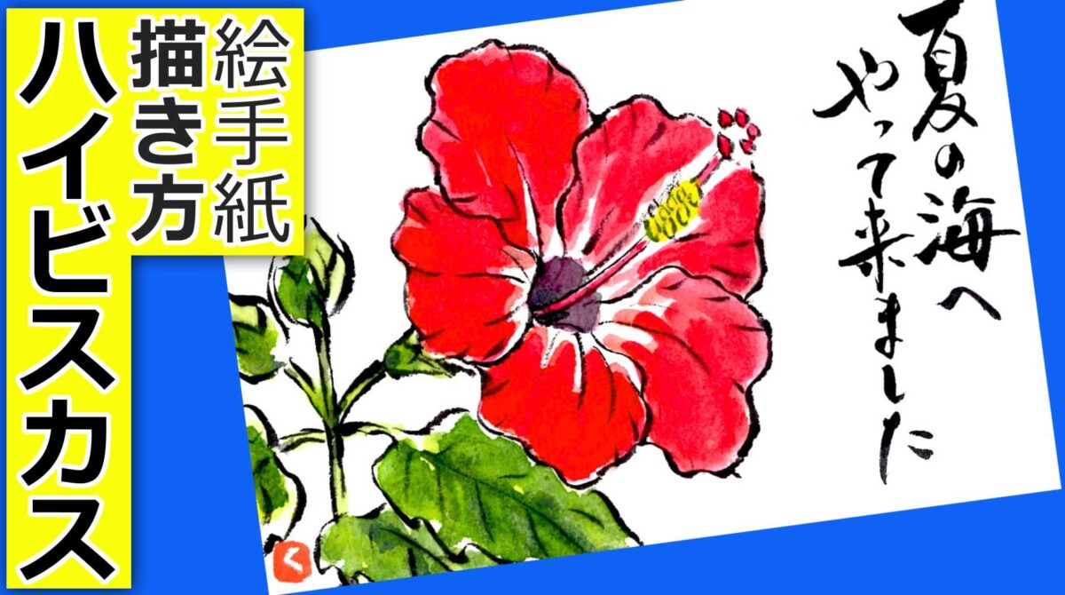 ハイビスカスの描き方 花の描き方 夏の絵手紙