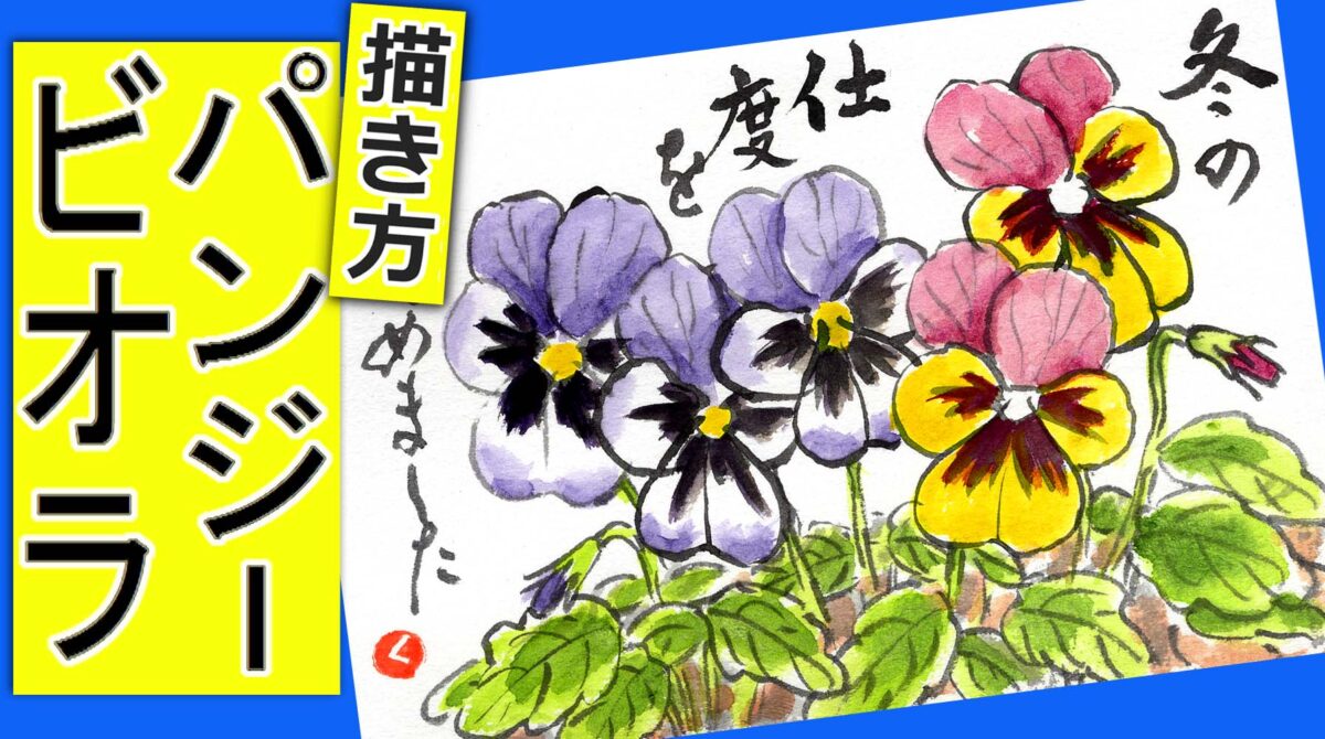 ビオラ パンジーの描き方 無料動画 ガーデニングの絵手紙スケッチ 初心者 10月 11月 12月 1月 2月 3月 4月 5月 6月 秋 冬 春 花の書き方 絵手紙教室くぼ田