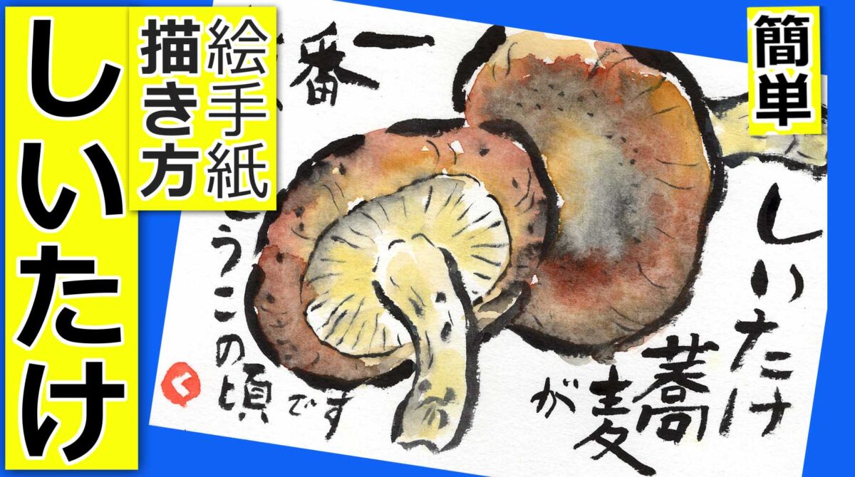 椎茸の簡単な描き方 無料動画 きのこ 野菜の絵手紙 3月 4月 5月 9月 10月 11月 春 秋の野菜 初心者 絵手紙教室くぼ田