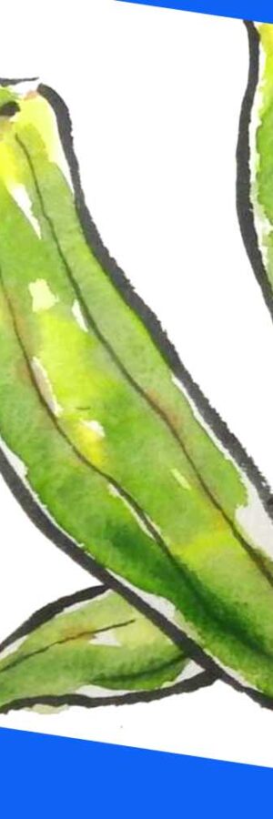 バナナの簡単な描き方 果物と野菜の絵手紙イラスト 絵手紙教室くぼ田 バナナの簡単な描き方 果物と野菜の絵手紙イラスト 絵手紙教室くぼ田