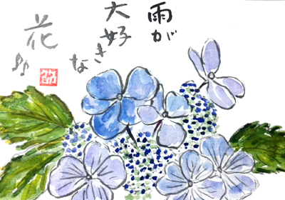 【絵手紙】イタリアの紫陽花　6月・7月・梅雨