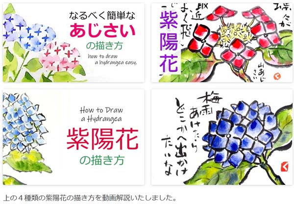 紫陽花の描き方　無料動画【梅雨の絵手紙】