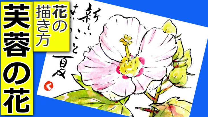 芙蓉！手描きの絵手紙