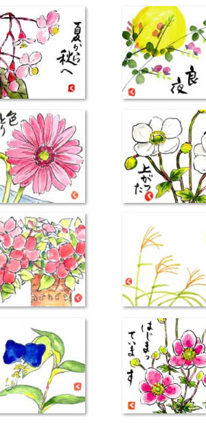 絵手紙 ガーベラ 百合 薔薇 マスカット 栗 キンモクセイ 露草ほか 晩夏から初秋 絵手紙教室くぼ田