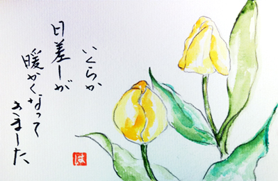 絵手紙 蕗の薹 春蘭 椎茸 チューリップ 忘れな草 絵手紙教室くぼ田