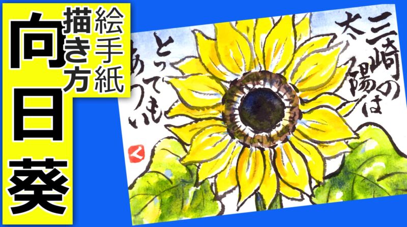 向日葵の描き方 無料動画 夏の絵手紙イラスト 6月 7月 8月 花の描き方 絵手紙教室くぼ田