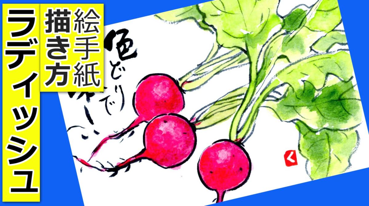 ラディッシュの簡単な描き方 無料動画 野菜の描き方 絵手紙スケッチ 初心者 3月 4月 5月 6月 7月 8月 9月 10月 11月 春 夏 秋 二十日大根 絵手紙教室くぼ田