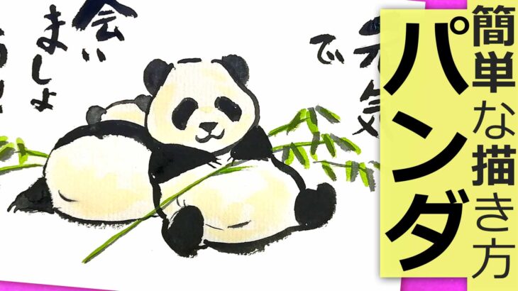 簡単なパンダの描き方🐼無料動画【絵手紙イラスト】