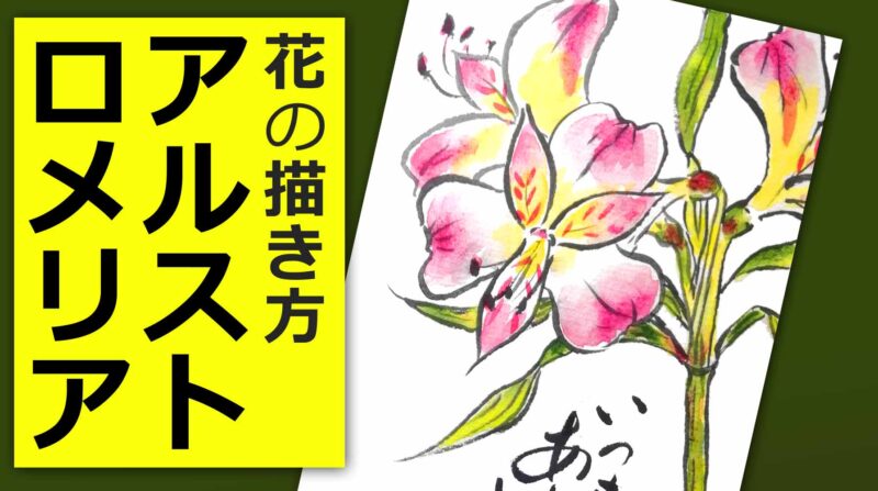 アルストロメリアの描き方 花の描き方 5月 6月 7月 春 初夏の絵手紙 絵手紙教室くぼ田