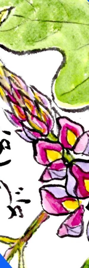 彼岸花のとても簡単な描き方 無料動画 秋のお彼岸 花の描き方 絵手紙イラスト 秋分の日 初心者 9月 秋の花 曼殊沙華 絵手紙教室くぼ田