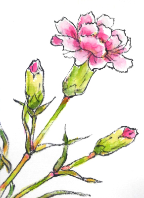朝顔の描き方3 無料動画 夏の花の絵手紙イラスト 7月 8月 9月 夏 絵手紙教室くぼ田