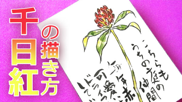 無料動画 千日紅の描き方 夏 秋 絵手紙教室くぼ田