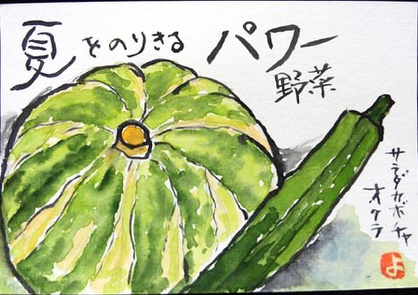 【絵手紙】夏野菜、かぼちゃ、とまと、花魁草、サボテン、あけび【真夏】