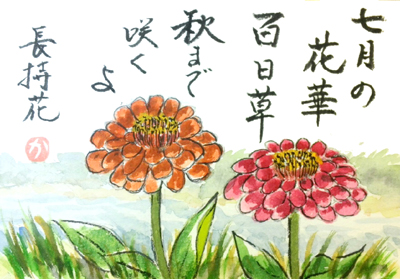 【夏の絵手紙】百日草、プルメリア、捩花、ぼっちゃん南瓜、瑠璃茉莉、グラジオラス