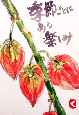 【絵手紙作品画像】桔梗、ほおずき、赤詰草、みょうが、小海老草、お人形【盛夏】