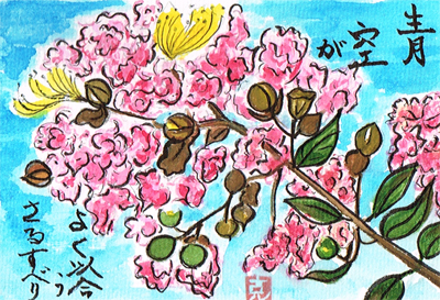 【絵手紙】百日紅、ひまわり、枇杷、とうもろこし、鬼百合、藤の花