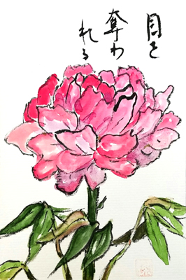 絵手紙 芍薬 絵手紙教室くぼ田